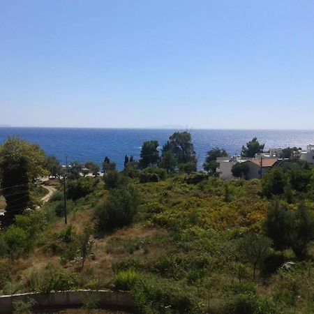 Hotel Afrodite Dhermi Exterior photo